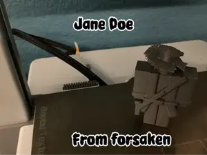 Jane Doe forsaken