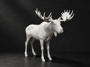 European Elk - Animal