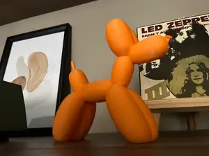 Balloon Dog