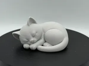 Sleeping Kitten – Peaceful Curled Pose