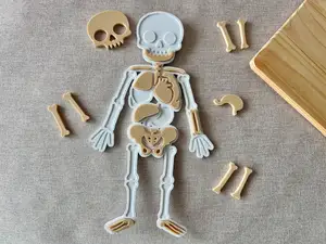 Human Body Jigsaw Puzzle for kids