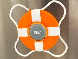 Princess Medallion Life Preserver Holder