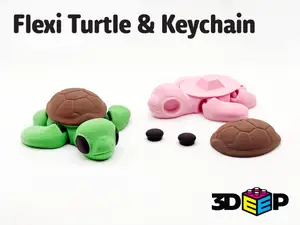 Flexi Turtle & Keychain - No Supports