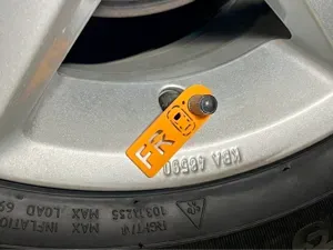 Tire Valve Stem Tags/Markers (Position Indicators)