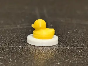 Tiny duck taking a trip on a robot vaccum