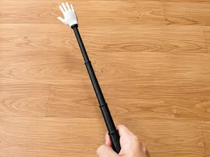 Extensible Hand for pet or slap