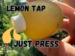 lemon tap perfect for drinks!