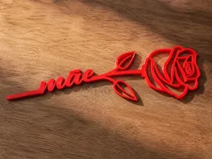 "Mãe" Rosa