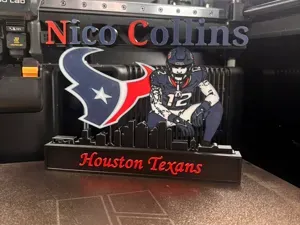 NFL - Houston Texans Nico Collings Display