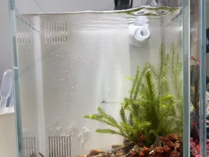 15X15方缸背滤过滤器