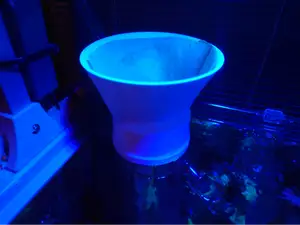 Filter Holder for Dinoflagellates (Aquarium)