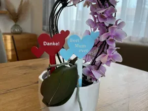 Herzstecker – Liebevolle Deko für Geschenke