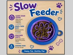 JC's Slow Feeder Pet Bowl
