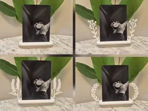 Modular Photo & Card Display Stand