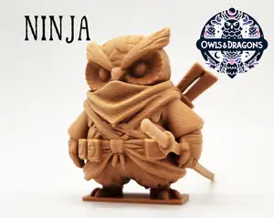 The Ninja - Owls & Dragons