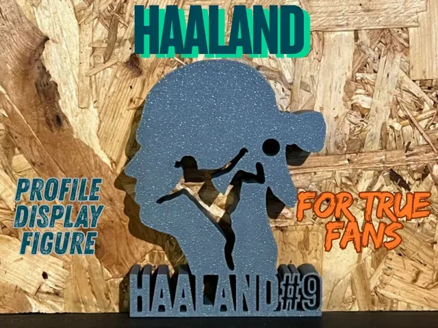 HAALAND – Profile Display Figure for True Fans
