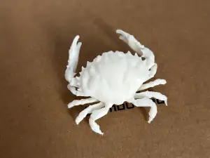 小螃蟹
