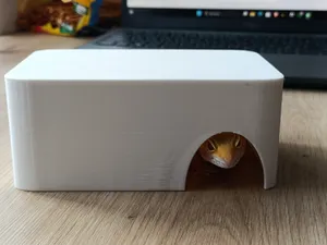 A hiding place, a cave for a gecko