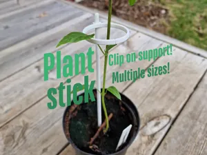 Plant Stick with Click-On Support Ring