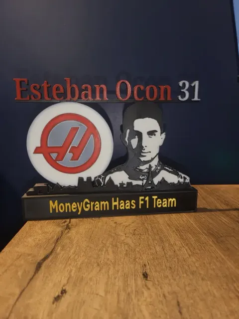 Esteban Ocon with skyline of Paris F1 Haas Racing — Фото 2 из 4