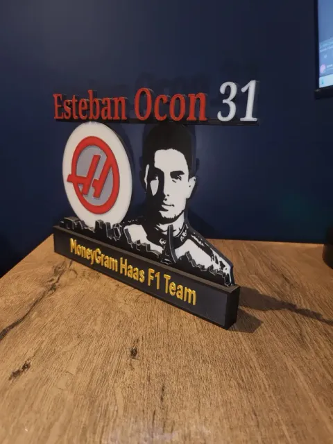 Esteban Ocon with skyline of Paris F1 Haas Racing — Фото 3 из 4