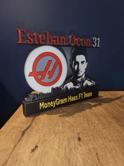 Esteban Ocon with skyline of Paris F1 Haas Racing — Фото 4 из 4