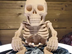 Hollow Watcher Skeleton