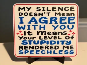 MY SILENCE DOESN'T MEAN I AGREE WITH YOU