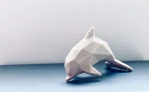 Cute Dolphin