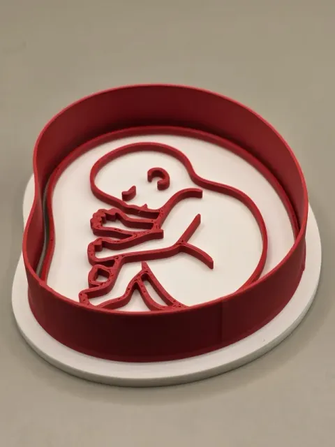 Baby Womb Woman Anatomy Cutter Stamp Cookie — Image 2 of 3
