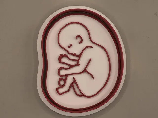 Baby Womb Woman Anatomy Cutter Stamp Cookie — Image 3 of 3