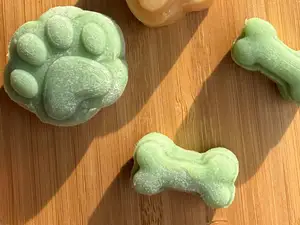 Paw & Bone Candy Mold
