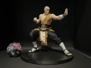 D&D-Monk (Mehrfarbig)