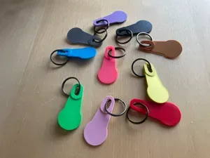 Shopping Cart Coin Key Chain (Canada)