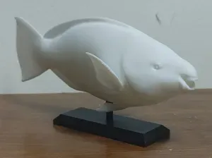 Parrotfish Mount