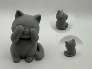 Peekaboo Paws Cat