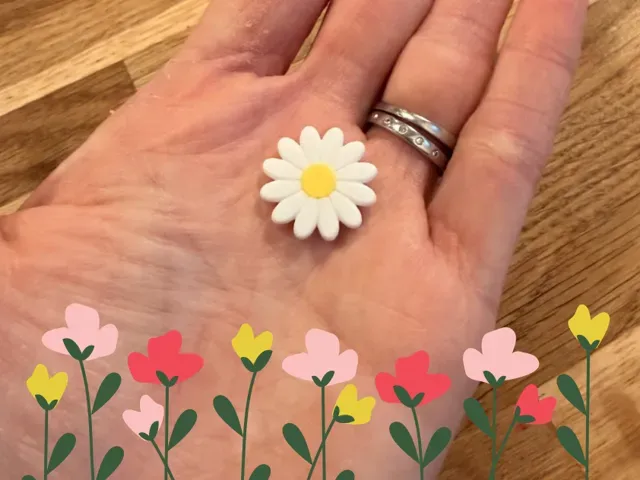 Small Daisy Flower