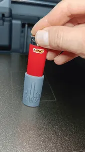 BIC MINI SLEEVE F_UCK YOU