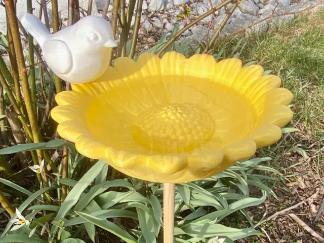 Vogelbad Vogeltränke Blume