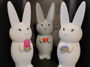 Bunny with a heart or basket!