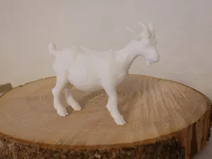 Ziege