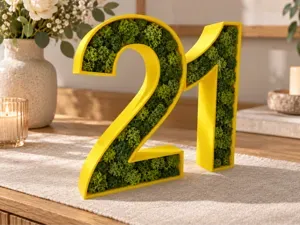 21. Geburtstag - Form für Deko, Bonbons, Moos etc.