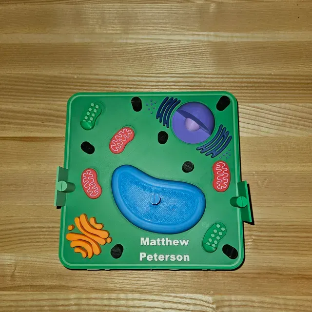 Plant Cell — Image 6 of 6