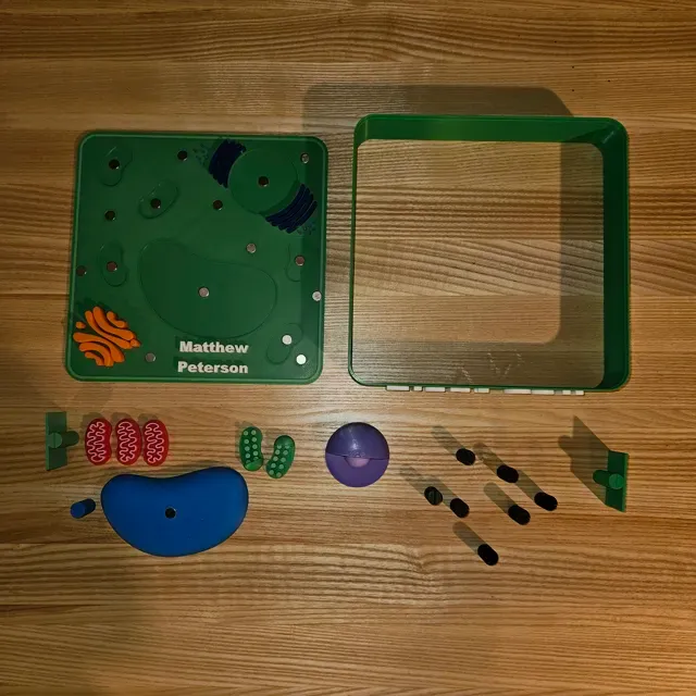 Plant Cell — Image 4 of 6