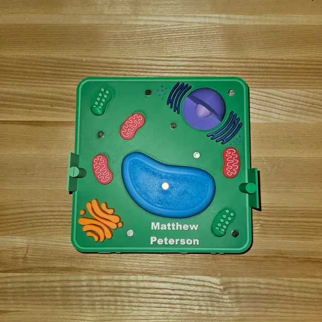 Plant Cell — Image 3 of 6