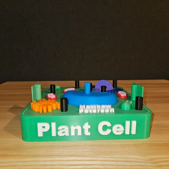 Plant Cell — Image 2 of 6