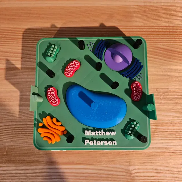 Plant Cell — Image 5 of 6
