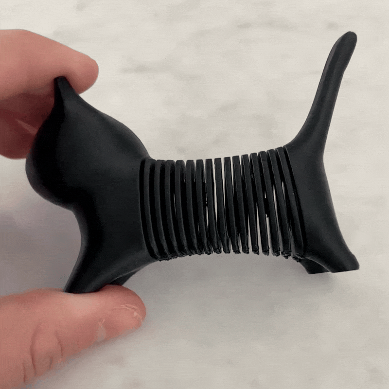 Spring Cat Toy