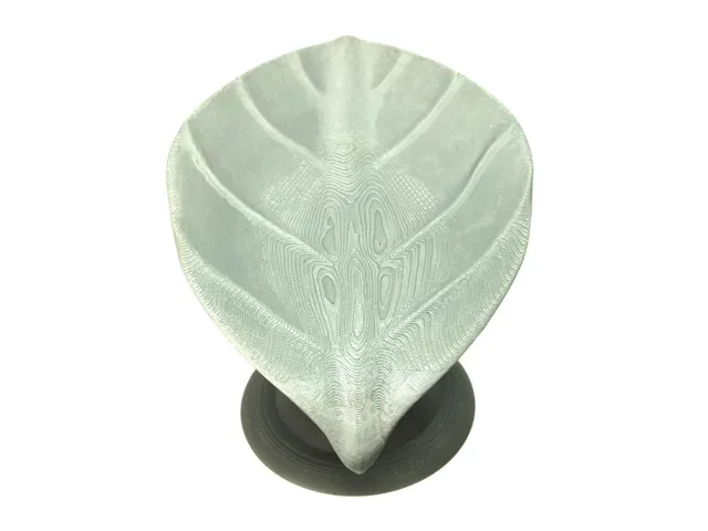 Leaf-Style Soap & Sponge Bar Holder — Фото 5 из 6
