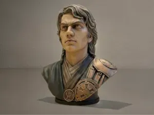 Anakin Skywalker Bust - A Star Wars Collectible